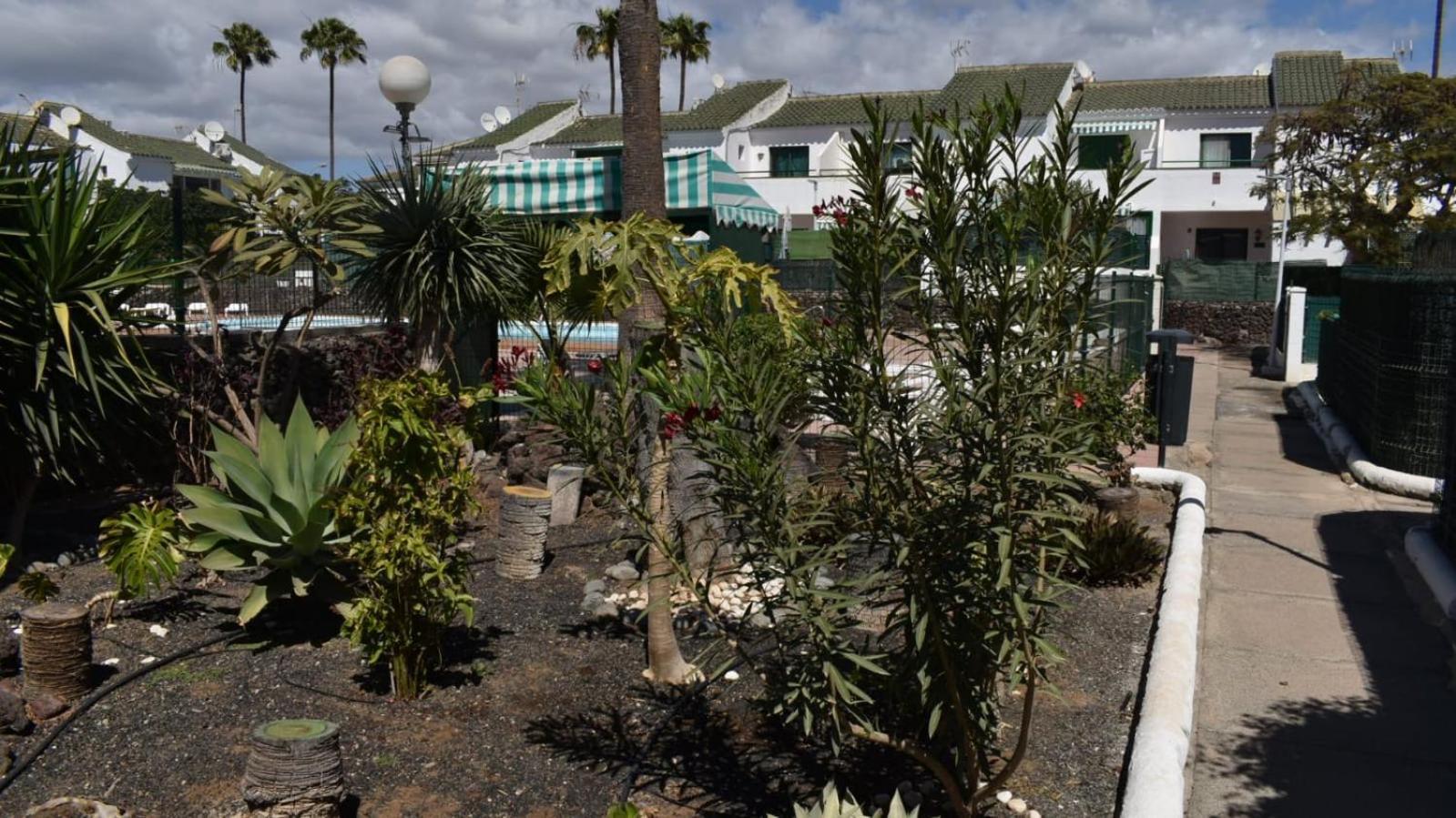 Bungalow Oasis Canaria Maspalomas  Exterior photo